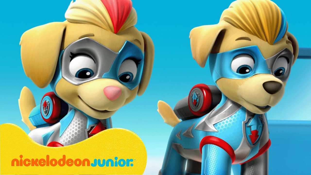 PAW Patrol : La Pat' Patrouille | Le meilleur des super jumeaux de Pat' Patrouille | Nickelodeon Jr.