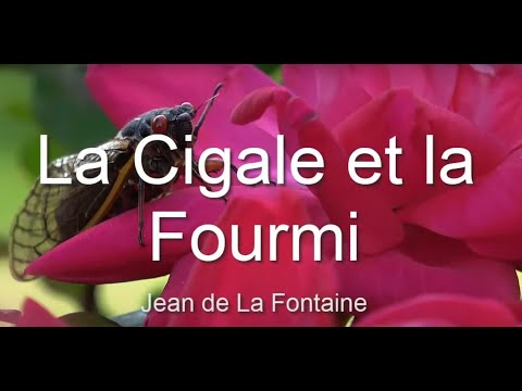 FABLES La Cigale et la Fourmi, et 2 autres a découvrir, histoire de s'endormir en se cultivant.