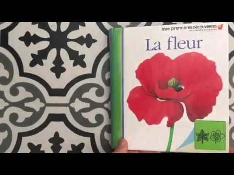 📖 La fleur 🌷 - mes premières découvertes !