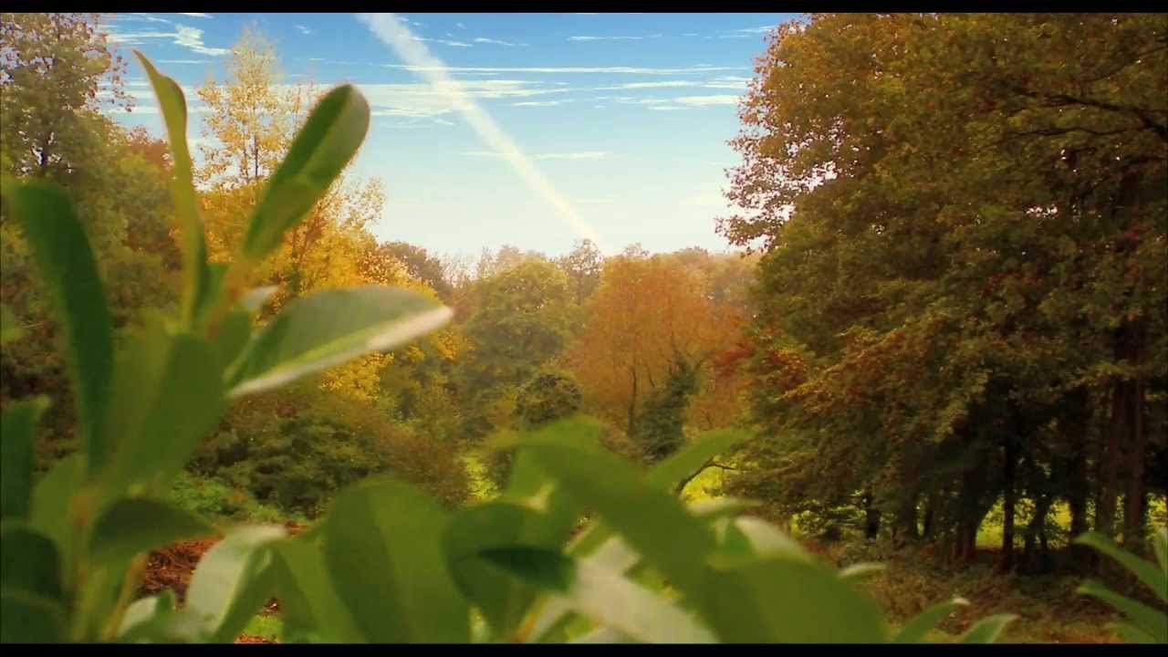 Paradisiaque / Heavenly - Episode 1 - Igor Pejic