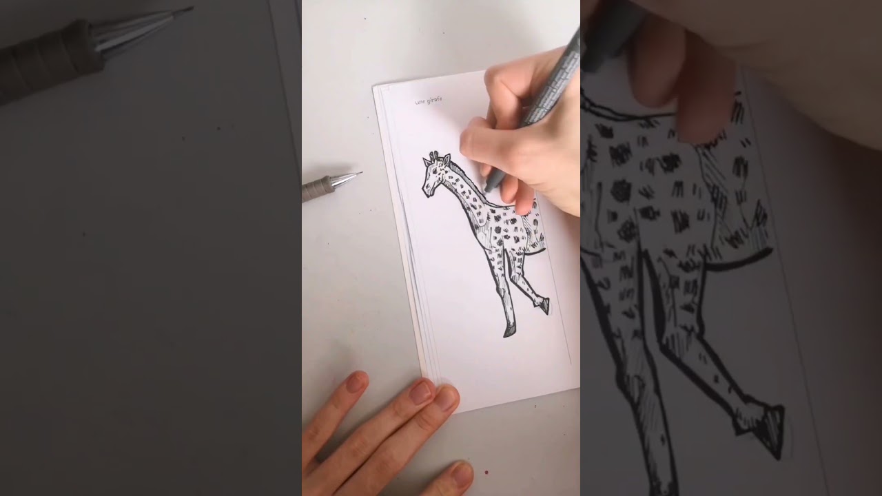 UN DESSIN PAR JOUR PENDANT 365 JOURS - Jour 12 (Girafe)