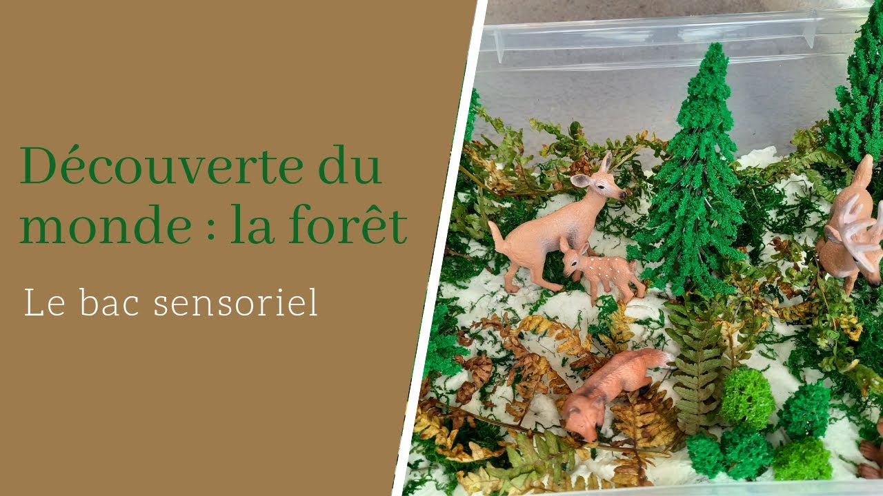 Le bac sensoriel montessori de la forêt (automne 2021)