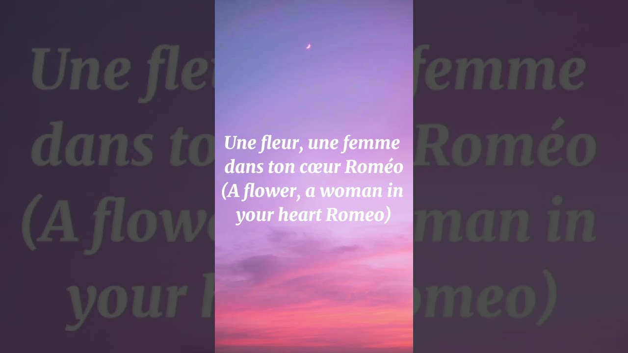 Videoclub - Amour Plastique (#lyrics French and English)