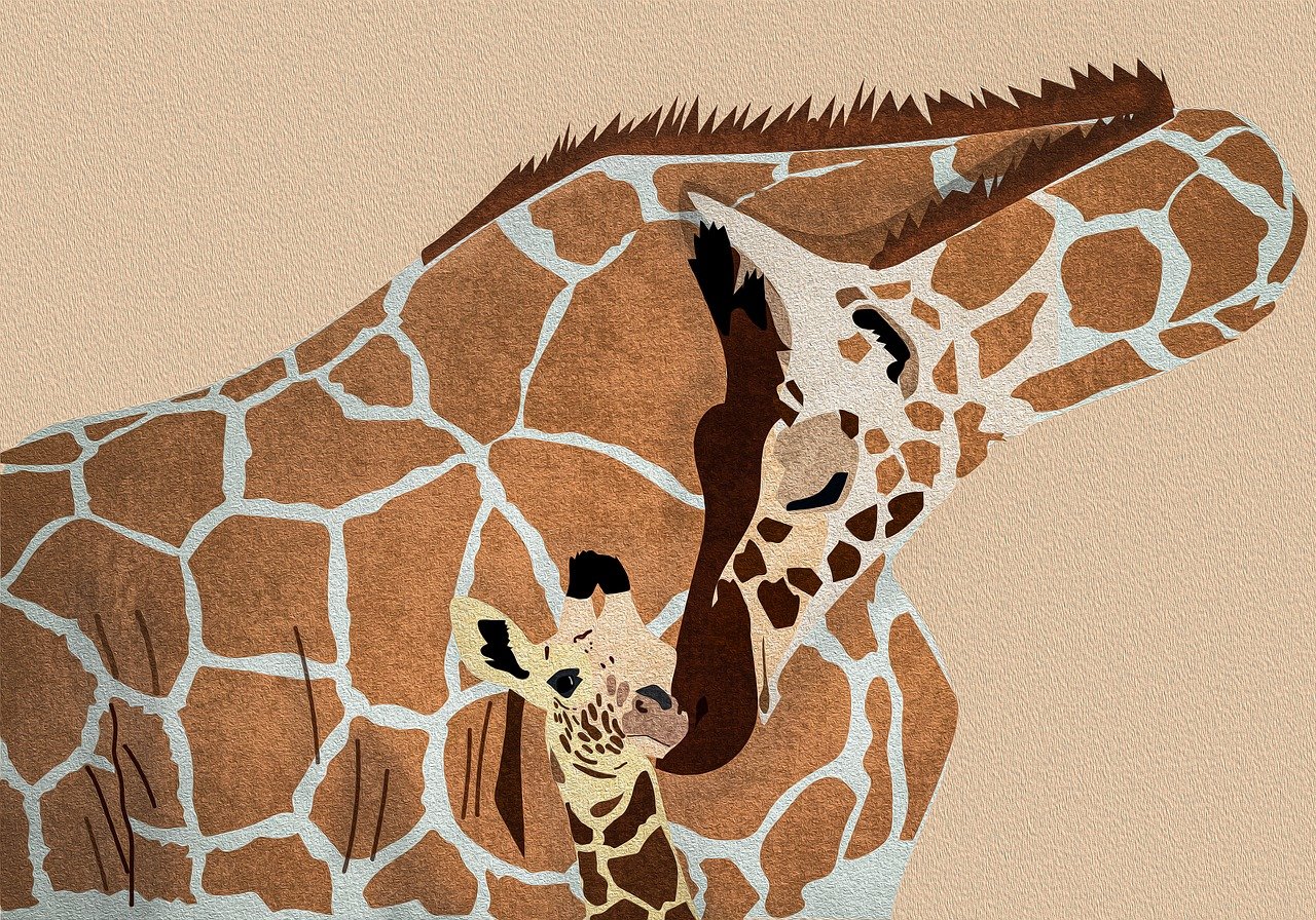 découvrez nos dessins d'anniversaire uniques et personnalisés pour célébrer chaque moment spécial. offrez un cadeau original et mémorable qui saura toucher le cœur de vos proches.