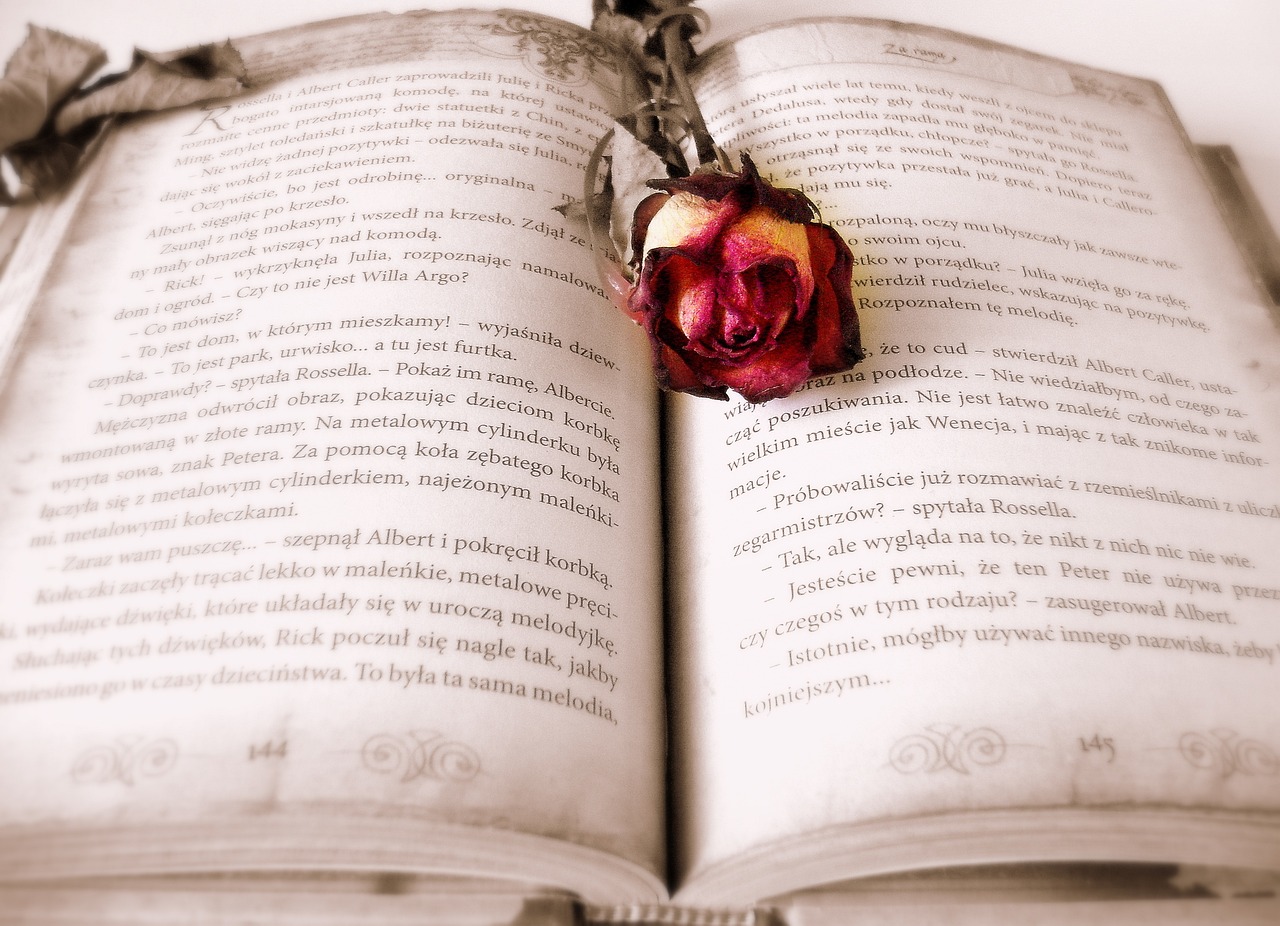 découvrez l'art fascinant du pliage de livres ! apprenez à transformer des ouvrages usagés en magnifiques œuvres d'art grâce à des techniques simples et créatives. parfait pour les passionnés de diy, le pliage de livres ajoute une touche unique à votre décoration intérieure.