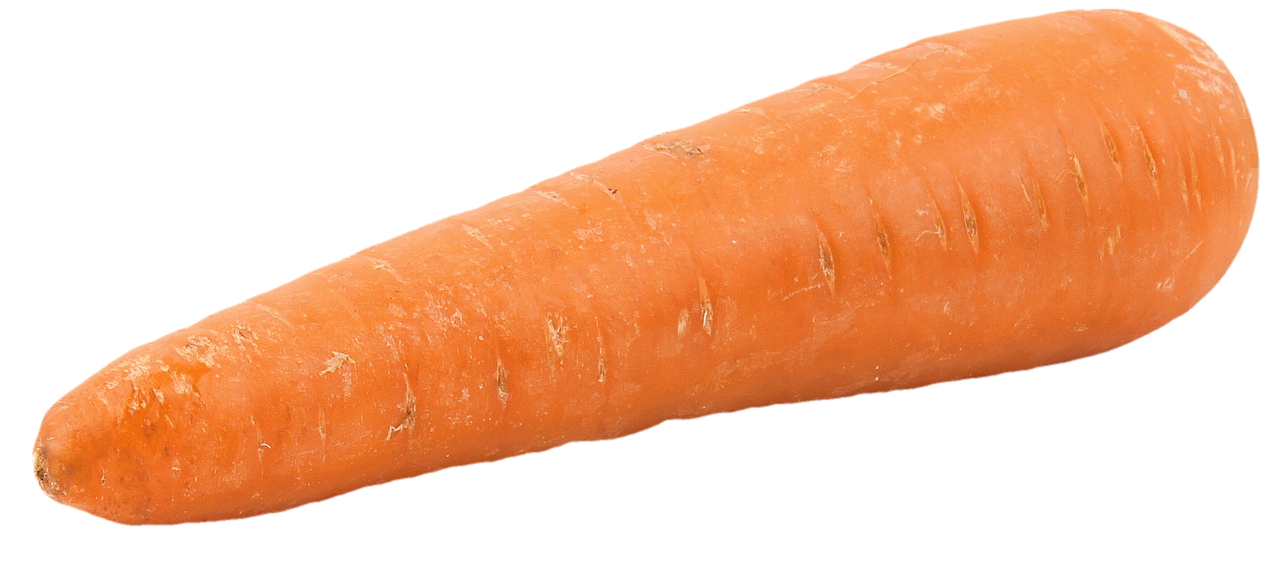 découvrez les bienfaits nutritionnels et les nombreuses façons de cuisiner la carotte, un légume coloré et savoureux. que ce soit cru, cuit ou en jus, apprenez comment intégrer la carotte dans vos repas pour une santé optimale.