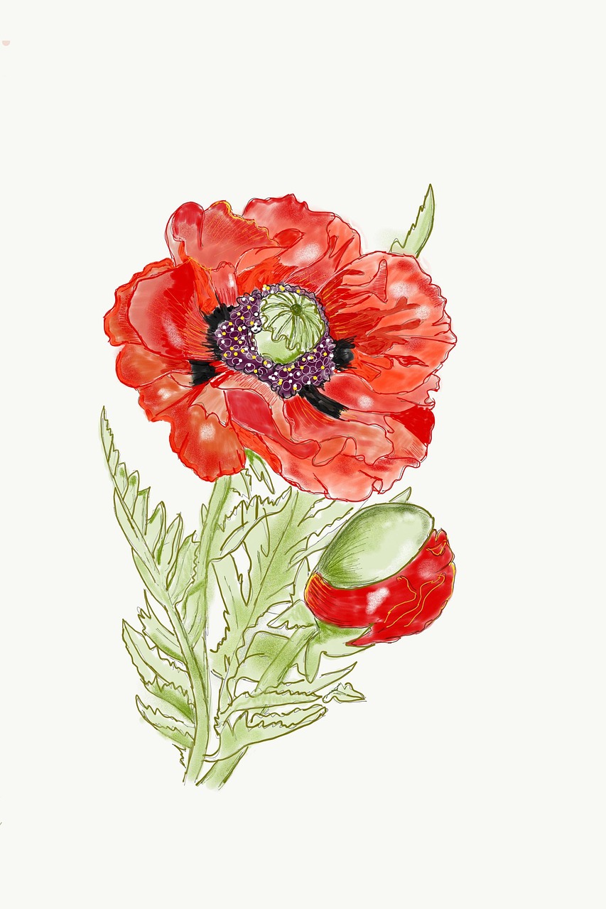 découvrez l'art du dessin, des techniques variées aux inspirations créatives. apprenez à maîtriser les outils, à exprimer votre imagination et à créer des œuvres uniques. que vous soyez débutant ou artiste confirmé, plongez dans l'univers fascinant du dessin.