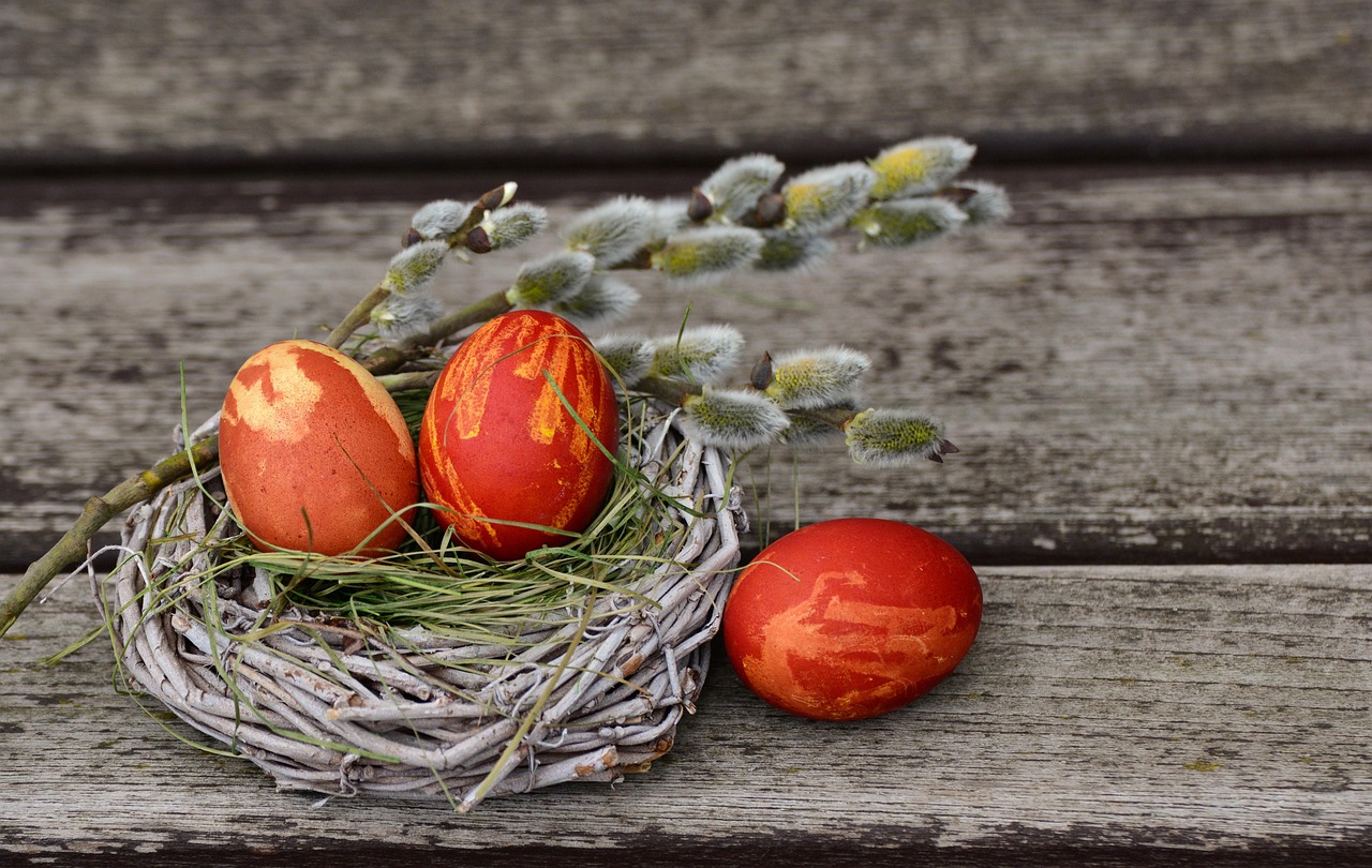 découvrez le monde fascinant des œufs de pâques ! plongez dans l'histoire, les traditions et les différentes façons de célébrer cette fête à travers des chasses aux œufs, des recettes gourmandes et des activités créatives pour petits et grands.
