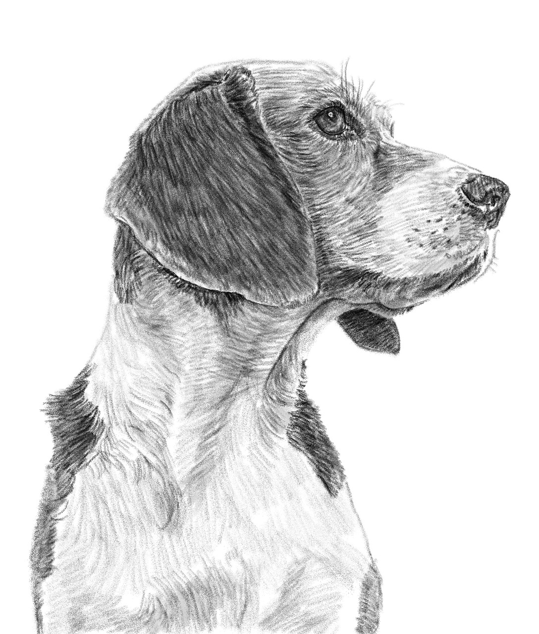 découvrez des idées de dessins faciles à réaliser pour tous les niveaux ! que vous soyez débutant ou artiste confirmé, laissez libre cours à votre créativité avec nos tutoriels simples et inspirants.