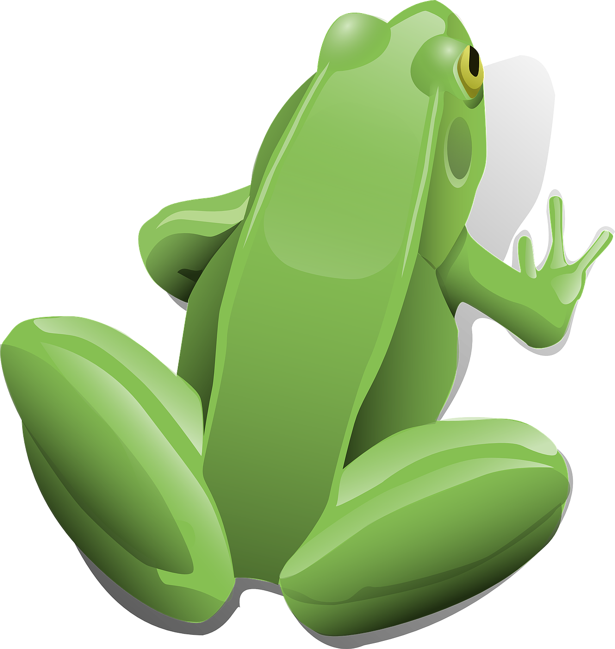 découvrez l'univers fascinant des grenouilles, ces amphibiens aux couleurs variées et aux chants enchanteurs. apprenez-en davantage sur leur habitat, leur régime alimentaire et leur rôle essentiel dans l'écosystème.