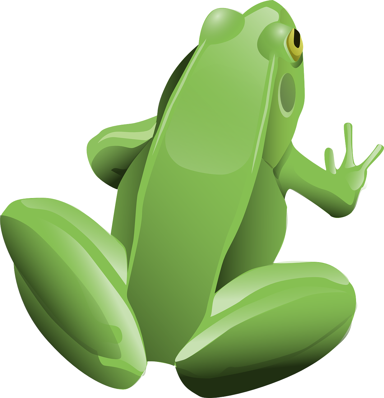 découvrez l'univers fascinant des grenouilles, ces amphibiens étonnants aux couleurs vives et aux chants mélodieux. plongez dans leur habitat naturel, apprenez leurs caractéristiques uniques et explorez leur rôle essentiel dans l'écosystème.