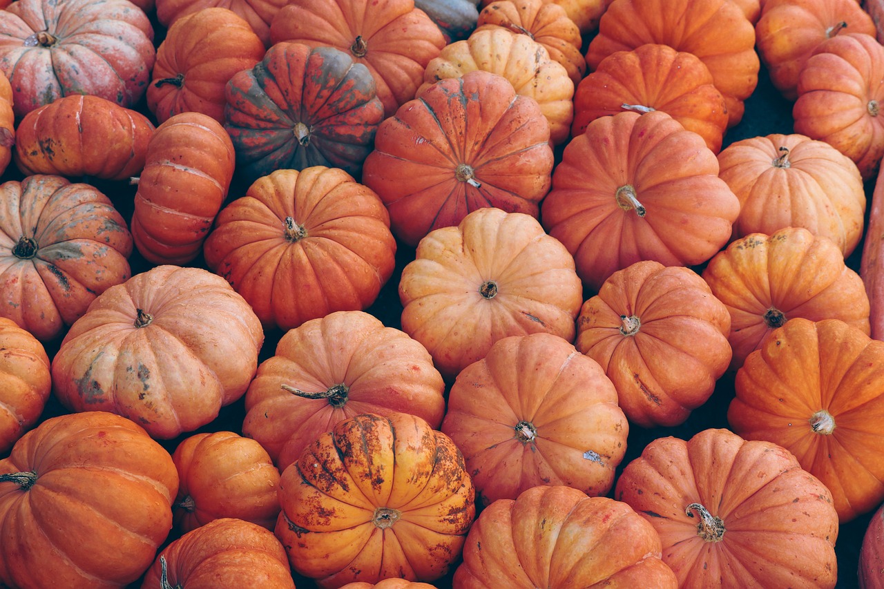 découvrez l'univers fascinant d'halloween, une fête emblématique pleine de mystère et de frissons. explorez des idées de décorations, de costumes, de recettes effrayantes et d'activités pour célébrer cette saison des sorcières et des fantômes. plongez dans l'esprit d'halloween et créez des souvenirs inoubliables !