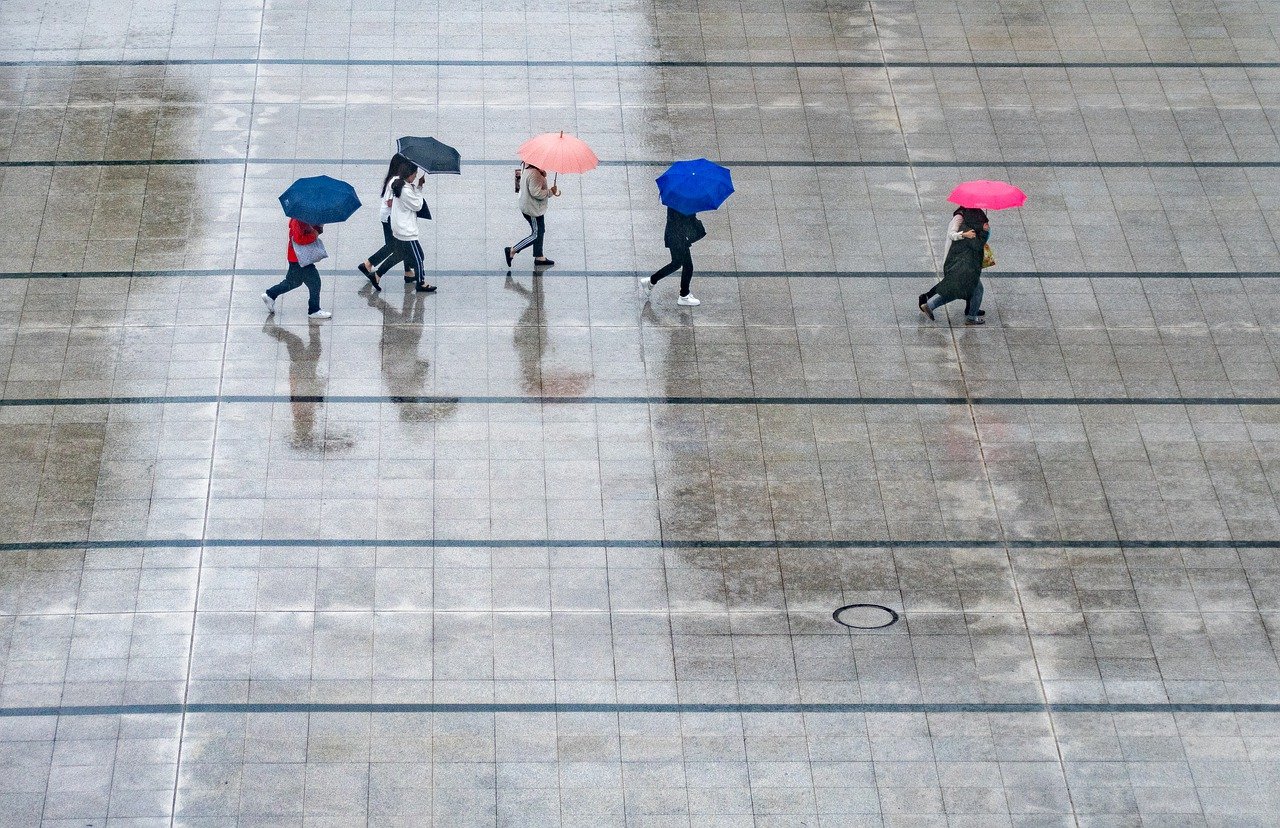 découvrez l'univers fascinant de la pluie : ses impacts sur la nature, son rôle vital dans l'écosystème, ainsi que des conseils pour en profiter lors de vos sorties. explorez comment la pluie inspire l'art et la littérature tout en apportant fraîcheur et renouveau.