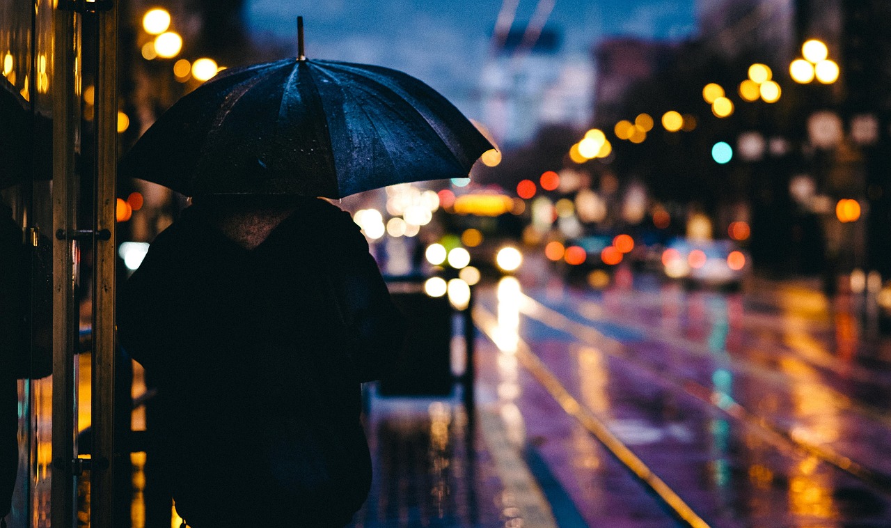découvrez l'univers fascinant de la pluie : ses bienfaits, son impact sur l'environnement, et comment elle inspire la créativité et la tranquillité. plongez dans un monde où chaque goutte raconte une histoire.