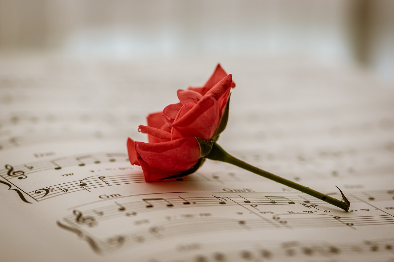 découvrez une fusion envoûtante de mélodies et d'émotions dans notre sélection de chansons. plongez dans un univers musical riche et varié, où chaque note résonne avec votre cœur.