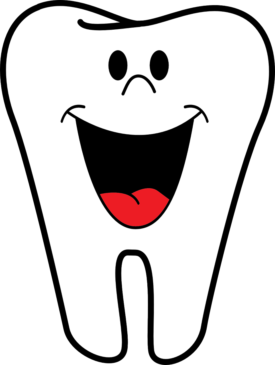 découvrez notre guide complet sur la numérotation dentaire, une méthode essentielle pour identifier les dents. apprenez les systèmes de numérotation universel, fdi et palmer, et améliorez votre compréhension des soins dentaires.