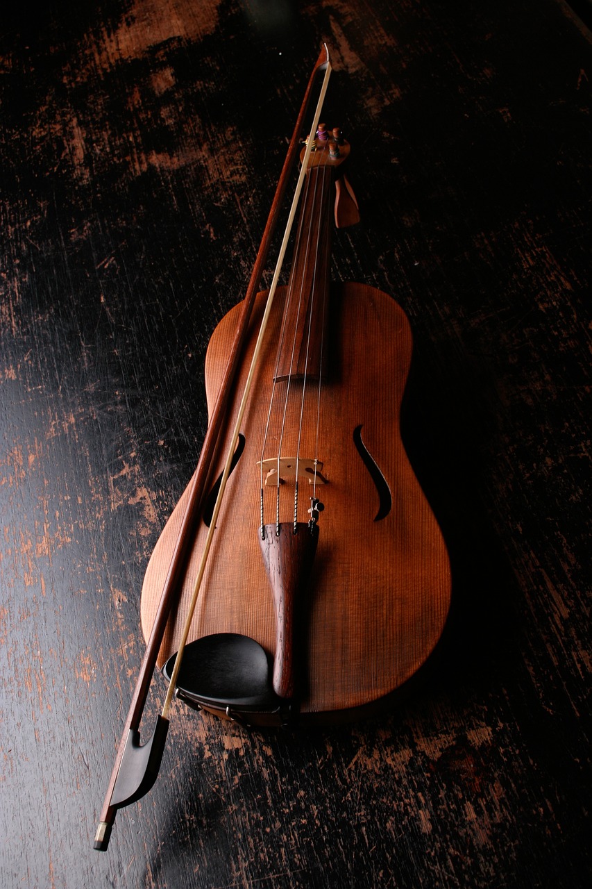 découvrez l'univers envoûtant du violon, un instrument à cordes aux sonorités riches et émouvantes. apprenez son histoire, ses techniques de jeu, et laissez-vous séduire par la beauté de ses mélodies.
