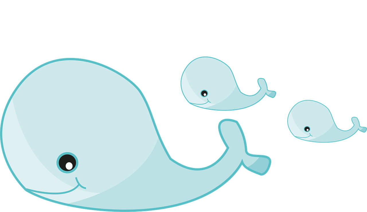 découvrez l'art délicat du dessin de baleine avec nos conseils et astuces. apprenez à capturer la majesté de ces créatures marines à travers des techniques variées, que vous soyez débutant ou artiste confirmé.